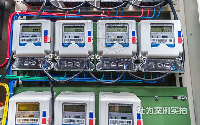 威勝智能電表應用案例